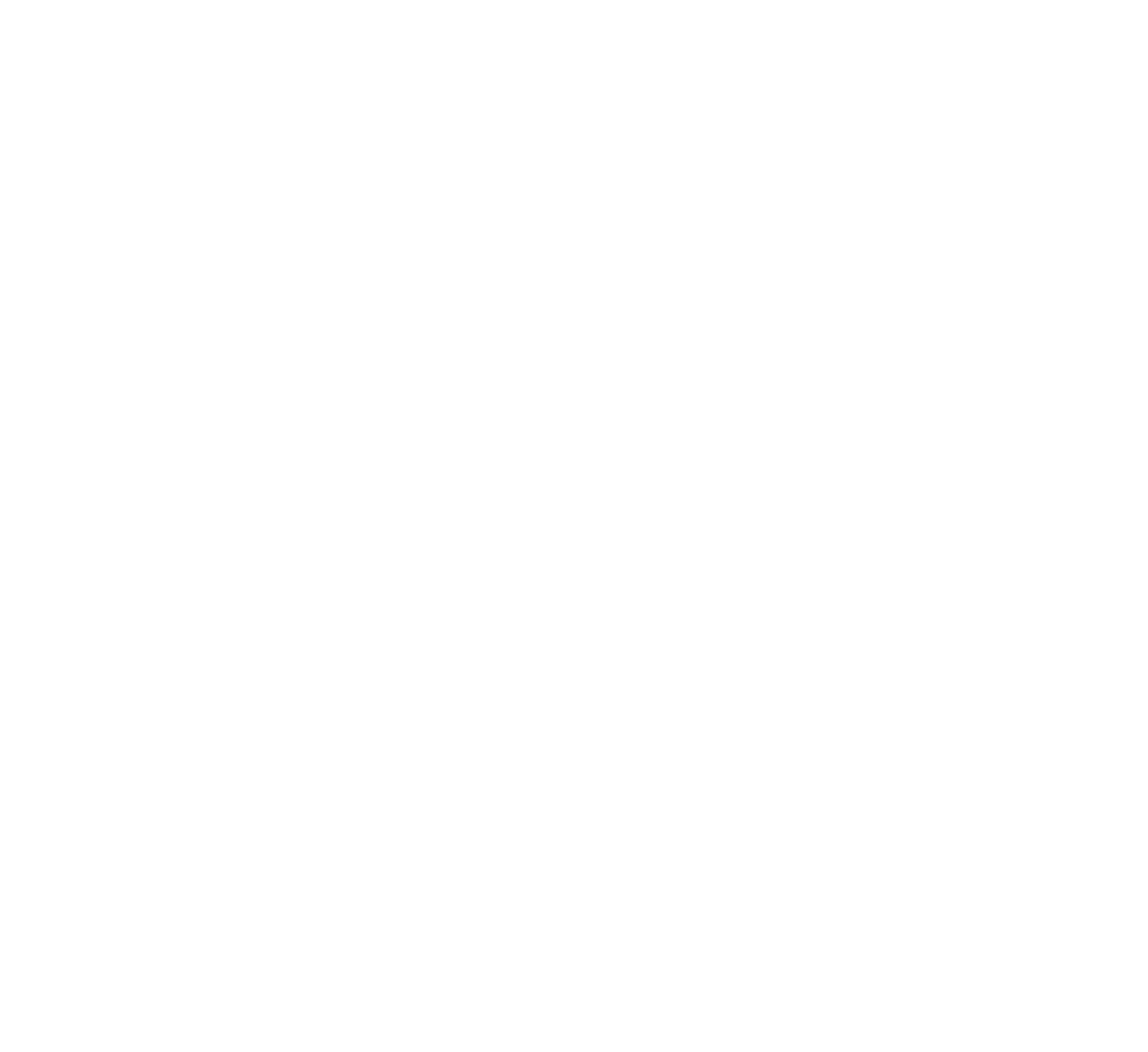 B&S law logo